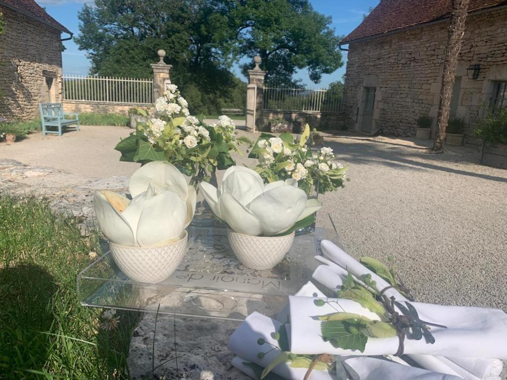 Manoir De Malagorse Cuzance エクステリア 写真