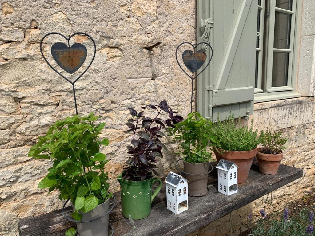 Manoir De Malagorse Cuzance エクステリア 写真